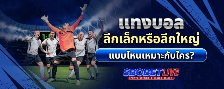 Read more about the article แทงบอล ลีกเล็กหรือลีกใหญ่ แบบไหนเหมาะกับใคร?